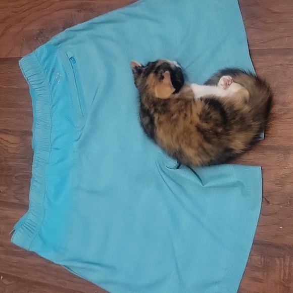 Mens speedo Swim shorts quick dry bottom lined color turquoise grey size large - Picture 9 of 10